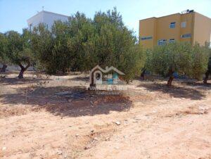 vente-terrrain-kharrouba-450m-img04